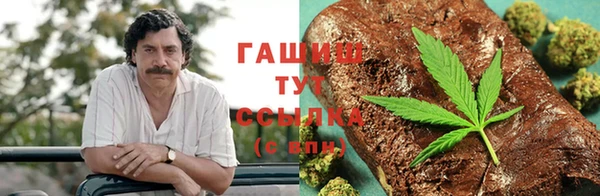 прущие грибы Сатка